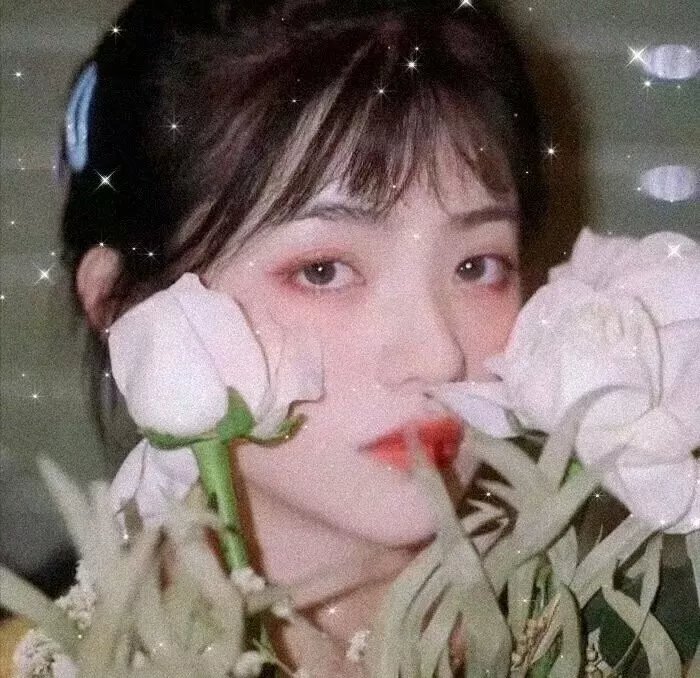 莫丽的朝圣